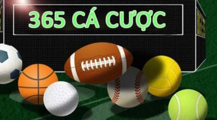 Nhà cái 365cacuoc – Sân chơi cá cược uy tín, chất lượng