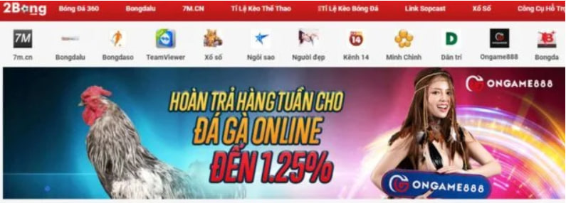 Nhà cái 2bong – Sân chơi cá cược trực tuyến uy tín hàng đầu