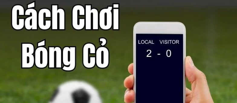 Bật Mí Bí Quyết Thắng Cá Cược Bóng Đá Từ Chuyên Gia