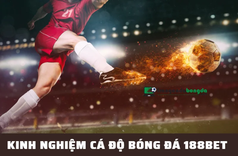 Kinh nghiệm cá cược bóng đá 188bet giúp bạn dễ dàng thắng lớn