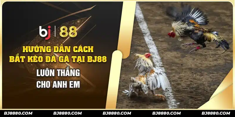 Cách chơi đá gà casino trực tuyến để thắng lớn