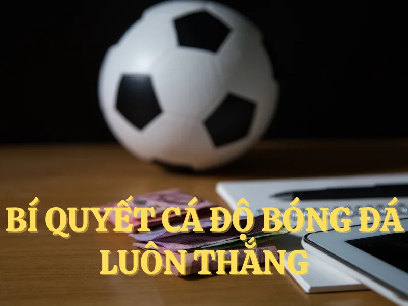 Bật Mí Bí Quyết Thắng Cá Cược Bóng Đá Từ Chuyên Gia