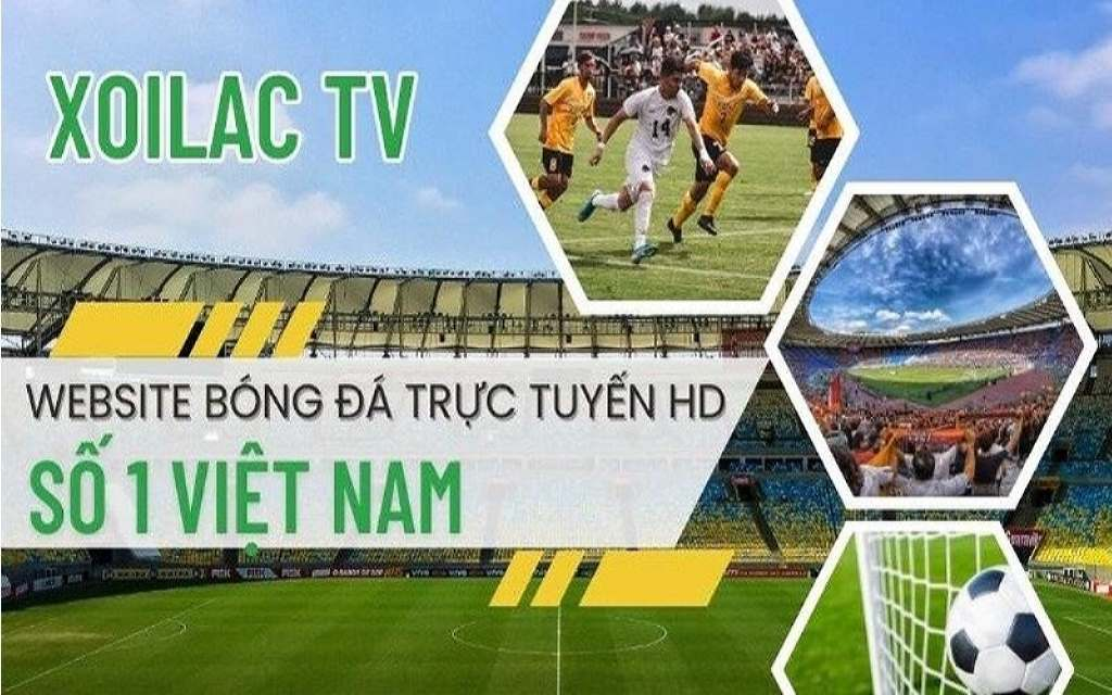 Trực Tiếp Bóng Đá Online: Cập Nhật Các Trận Đấu Đỉnh Cao