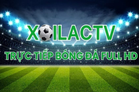 Bongdaso – Cập nhật kết quả bóng đá trực tuyến và tin tức mới nhất