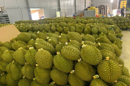 Tỷ lệ kèo Malaysia hôm nay và những biến động cần lưu ý