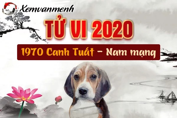 Xem Tử Vi Năm 2020 Cho Tuổi Canh Tuất: Chi Tiết Về Tài Lộc, Sức Khỏe, Tình Cảm
