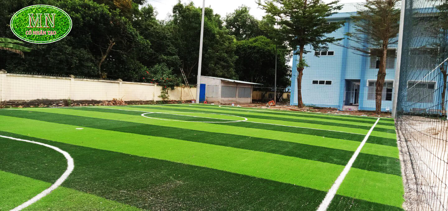 Sân Cỏ Tự Nhiên So Với Cỏ Nhân Tạo: Nên Lựa Chọn Loại Nào?