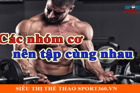 5 Bài Tập Ngực Dưới Tăng Cường Cơ Bắp Nhanh Chóng