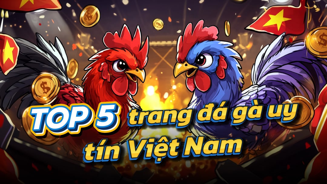Nhà cái đá gà uy tín nhất hiện nay – Top 5 nhà cái không thể bỏ qua