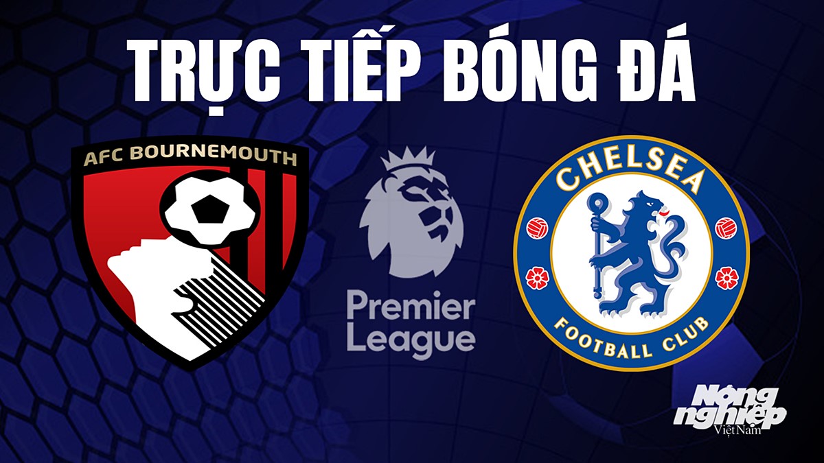 Trực tiếp Bournemouth đấu với Chelsea: Xem ở đâu, lúc mấy giờ?
