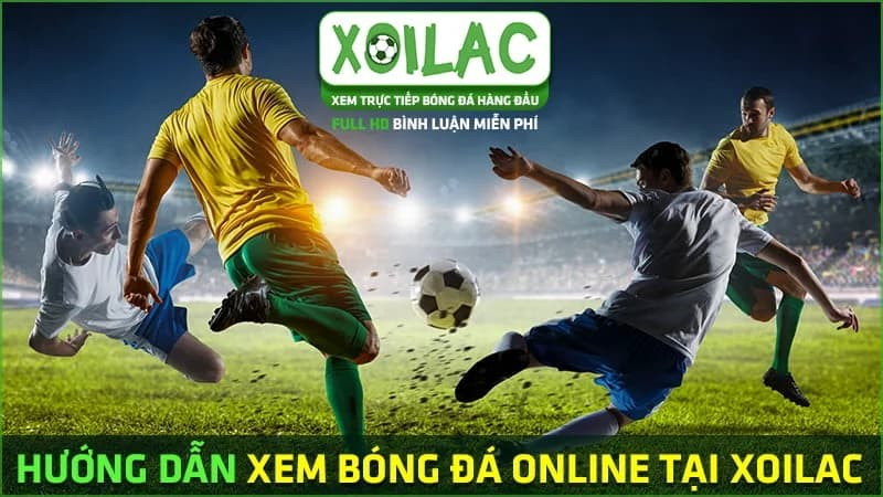Xem trực tiếp bóng đá tại nha cai tv cực mượt mà, không giật lag