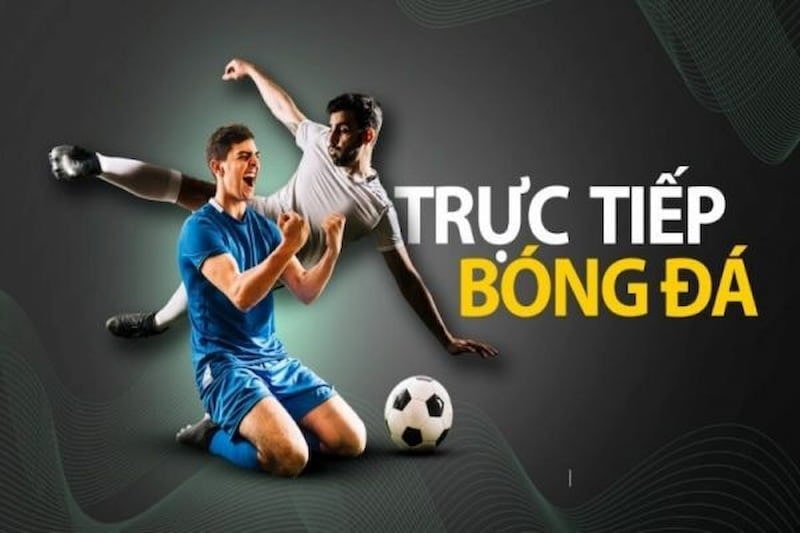 Xem trực tiếp bóng đá nhà cái mượt mà, không giật lag!