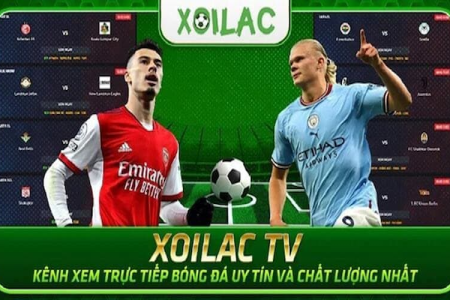 Xem trực tiếp đức đấu với hungary kênh nào, link xem online nét căng không giật lag?